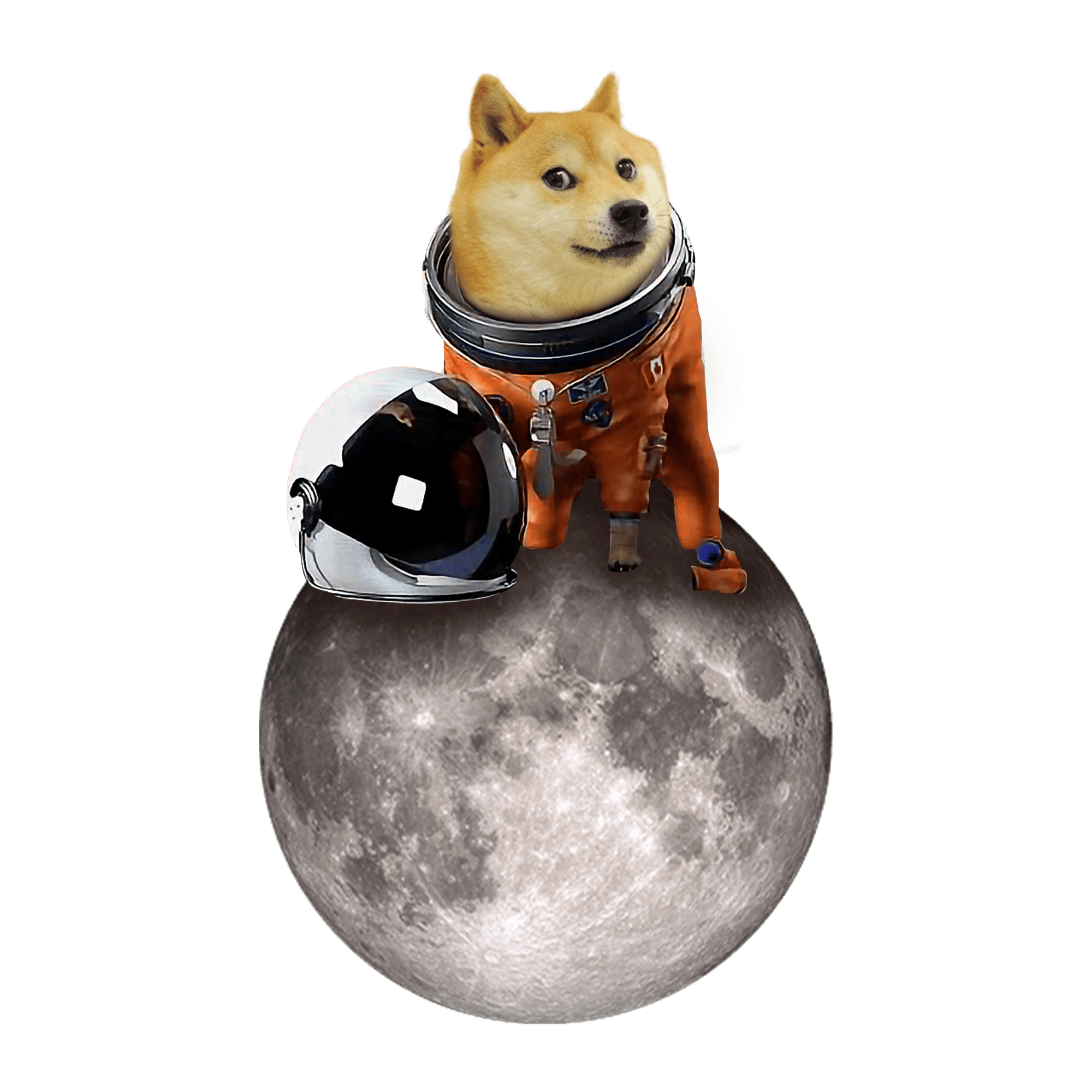 doge-on-the-moon